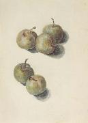 Edouard Manet Etude de cinq prunes (mk40) Sweden oil painting artist
